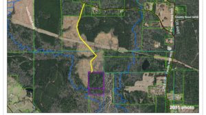 25 acre land aerial view