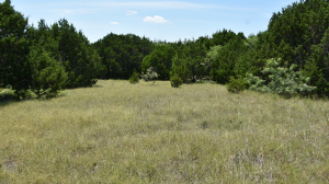 14.7 acres ranchette near Lake Whitney