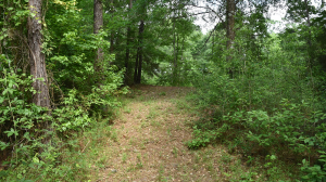 15 acres in St. Clair County