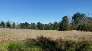 62.21 acres in Rusk County